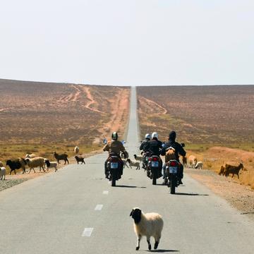 Mongolia Motorcycle Adventure Tour (7 days)