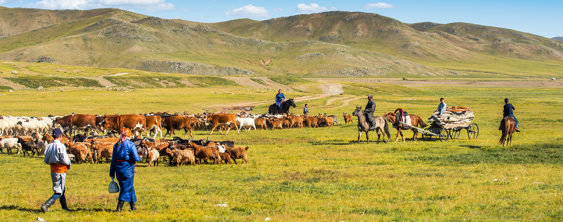 Mongol Nomadic Show Day tour - Discover Mongolia Travel